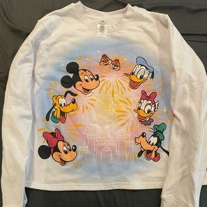 Disney Parks Sweater